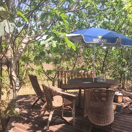 Maison Spacieuse Avec Piscine A Villa *
